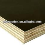Poplar black film faced plywood-18mm