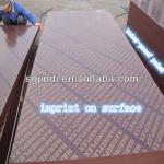 High quality marine film faced plywood with imprint on surface