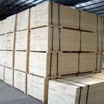 C/C, C/D, D/E and E/F Grade Birch Plywood