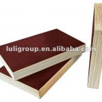 formwork plywood 1220*3000*18/25mm for European market