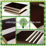 21mm Brown Concrete Plywood/Formwork Plywood with Logo