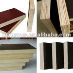 shuttering plywood 2000*6000*18mm for Germany market