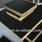 construction film faced plywood in industrial buildings