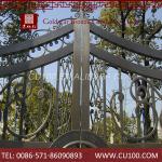 Fashion oem delicate style anti-rust easy maintain door iron gate design