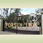 decorative ornamental iron driveway gate FSM-062