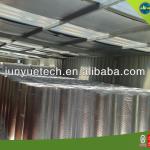 Double sides Aluminum foil Bubble Insulation Material for Construction