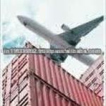 PROFESSIONAL Export and Import Air Shipment