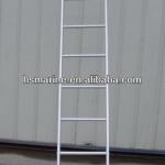 Marine stainless steel vertical ladder