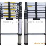 single telescopic ladder with 2m