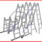 Multi-Function Ladder