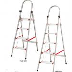 stainless steel ladder