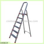 Stainless steel ladder