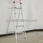 CE Approved Steel Ladder