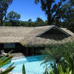 Beautiful Synthetic Thatch Roofing for Cottage-