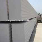Manufacturer of autoclaved aerated concrete panel AAC Panel, substitute of aac block