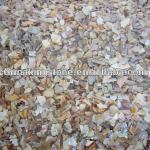 mother of pear shell chips for terrazzo