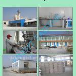 Gypsum Powder