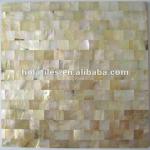 Yellowlip seamless square shell mosaic tiles