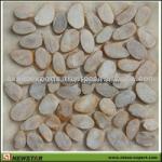 Natural Stone Beige Pebble Wall Mosaic