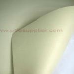 PTFE Fabric Membrane