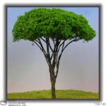 metal model tree