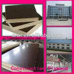 18mm construction plywood from China