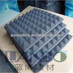 Decorative functional acoustic sound absorber