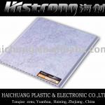 Plastic ceiling and wall panel