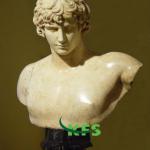 Pio-Clementino Antinous bust roman bust-GF-888