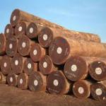 Sapelle Sapelli African hardwood logs