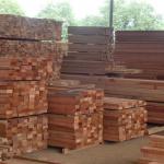 Lumber Timber Medium Size
