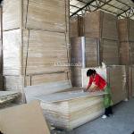 best quality paulownia wood sale from paulownia homtown