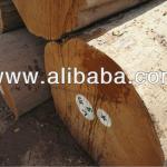 Teak Logs Export From Myanmar