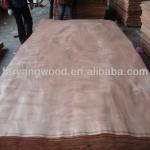 natural veneer wood of okoume