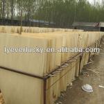 1.0mm poplar veneer/Nature Wood Veneer/Rotary cutting poplar