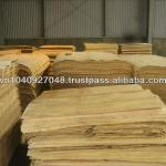 Eucalyptus core veneer