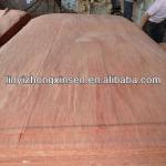 keruing veneer/commerical wood veneer/Natural face veneer