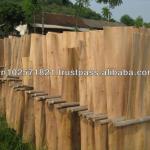 Vietnam&#39;s Eucalyptus core veneers for Plywood