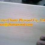 Manufacturer of 0.5mm thickness Red oak veneer with best price