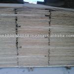 Viet Nam high quality eucalyptus core veneer 2.2mm ( skype: thanhdo-imexpro)-TD-EV02