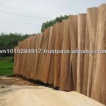 Acacia Eucalyptus core veneer plywood