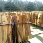 Acacia core veneer best price &amp; best quality