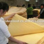 okoume/poplar/eucalyptus natural veneer rotary cut