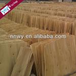 China hot sell eucalyptus core veneer