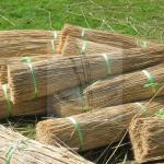 water reed for thatching roof. thatching reed