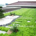 Green Roof System