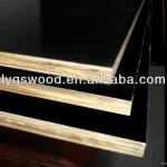 Best qulity film faced plywood with low prices-1220*2440