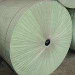 nonwoven polyester mat
