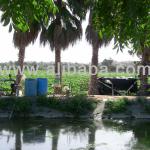 2 Hectares of Farm Land