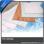 Beautiful Pattern Pvc Panel for Ceiling and Wall PVC Ceiling